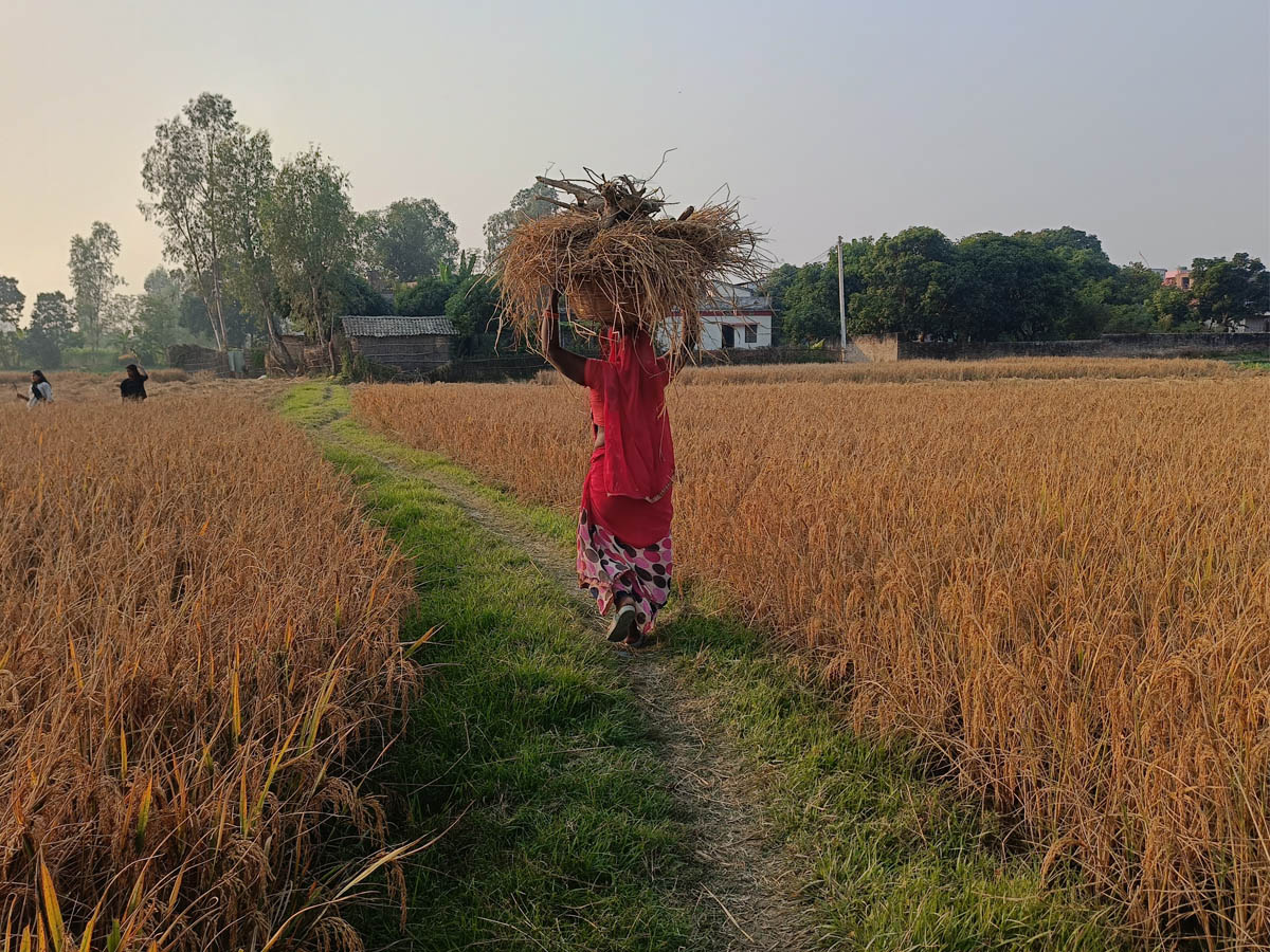 वैदेशिक रोजगारीमा श्रीमान्‌को मृत्यु, घरमा श्रीमतीमाथि हिंसा