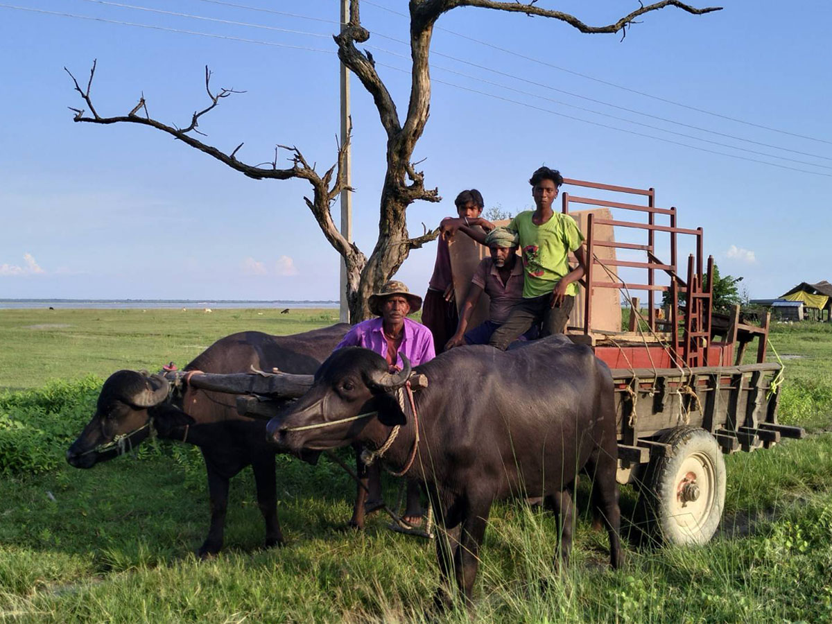 कोशीले जता लखेट्छ, उतै घर सार्न बाध्य
