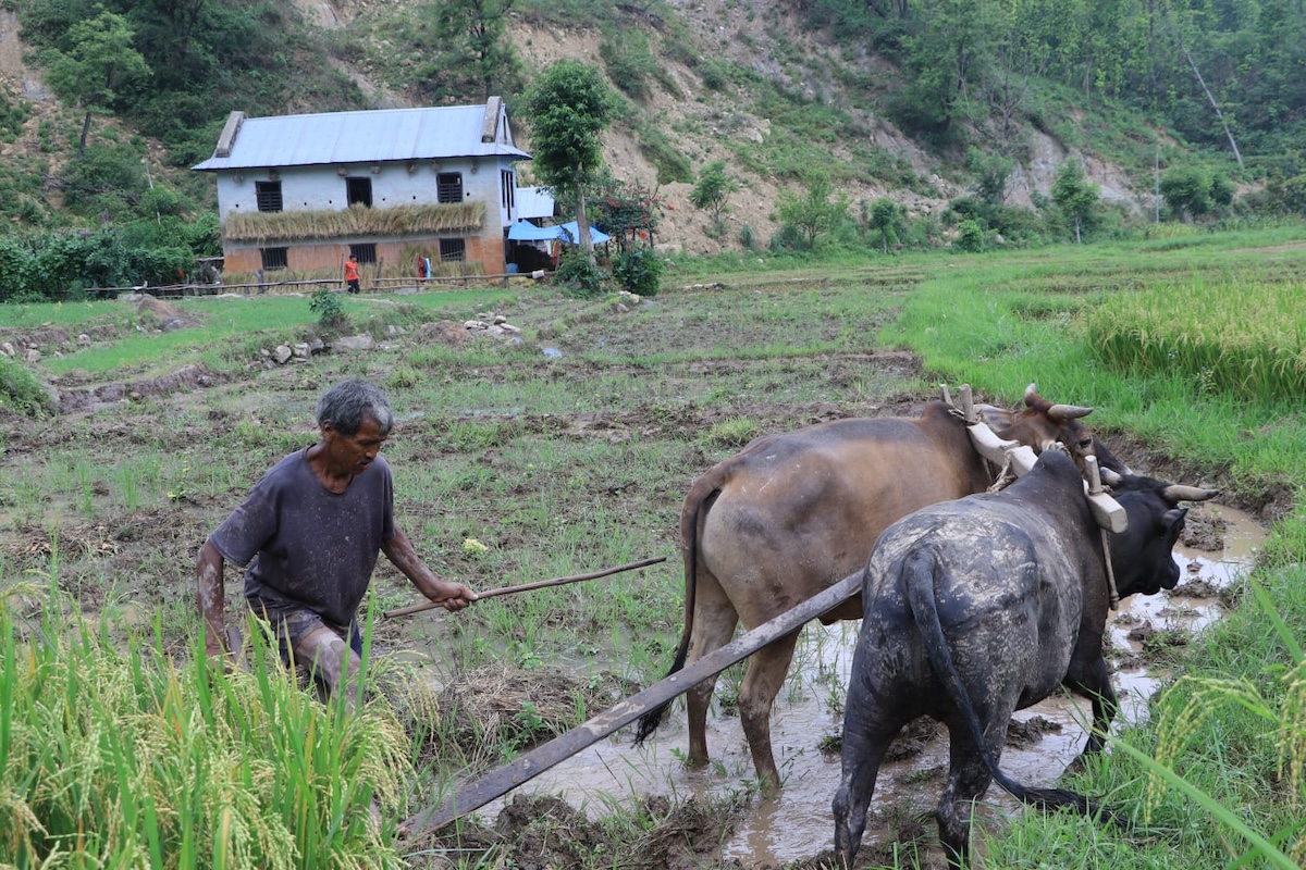 Farmers Deprived of Agricultural Grants