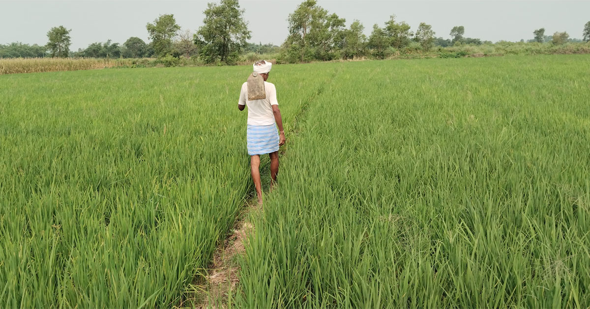 Rising Fuel Prices Make Farming Unprofitable in Nepal
