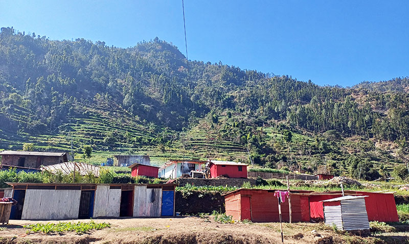 Jajarkot-earthquake-NIMJN-1756106862.jpg