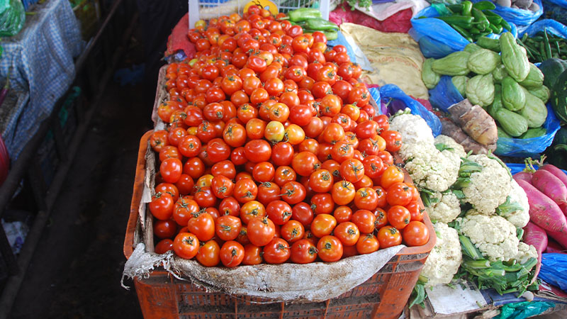 Kalimati-Tarkari_Bajar-NIMJN-1755508504.jpg