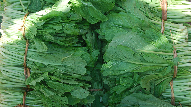 Mustard-Greens-Leaf-1755508876.jpg