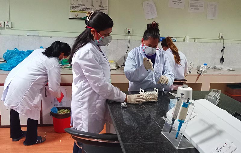 Pesticide-Residue-Rapid-Testing-Laboratory-Kalimati-NIMJN-1758190743.jpg