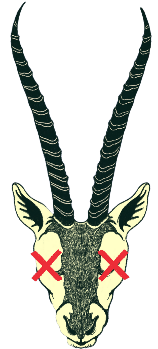 Shahtoosh10-1753682772.png