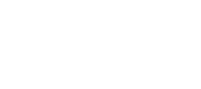 Shahtoosh4-1753682184.gif